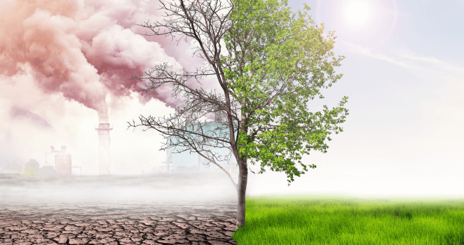 Climate Risk & Opportunity