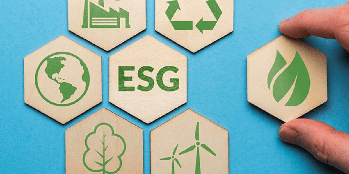 Why ESG is rapidly gaining popularity and what it is.