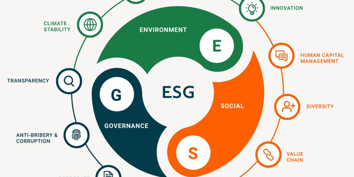 Picture ESG defining from all aspects